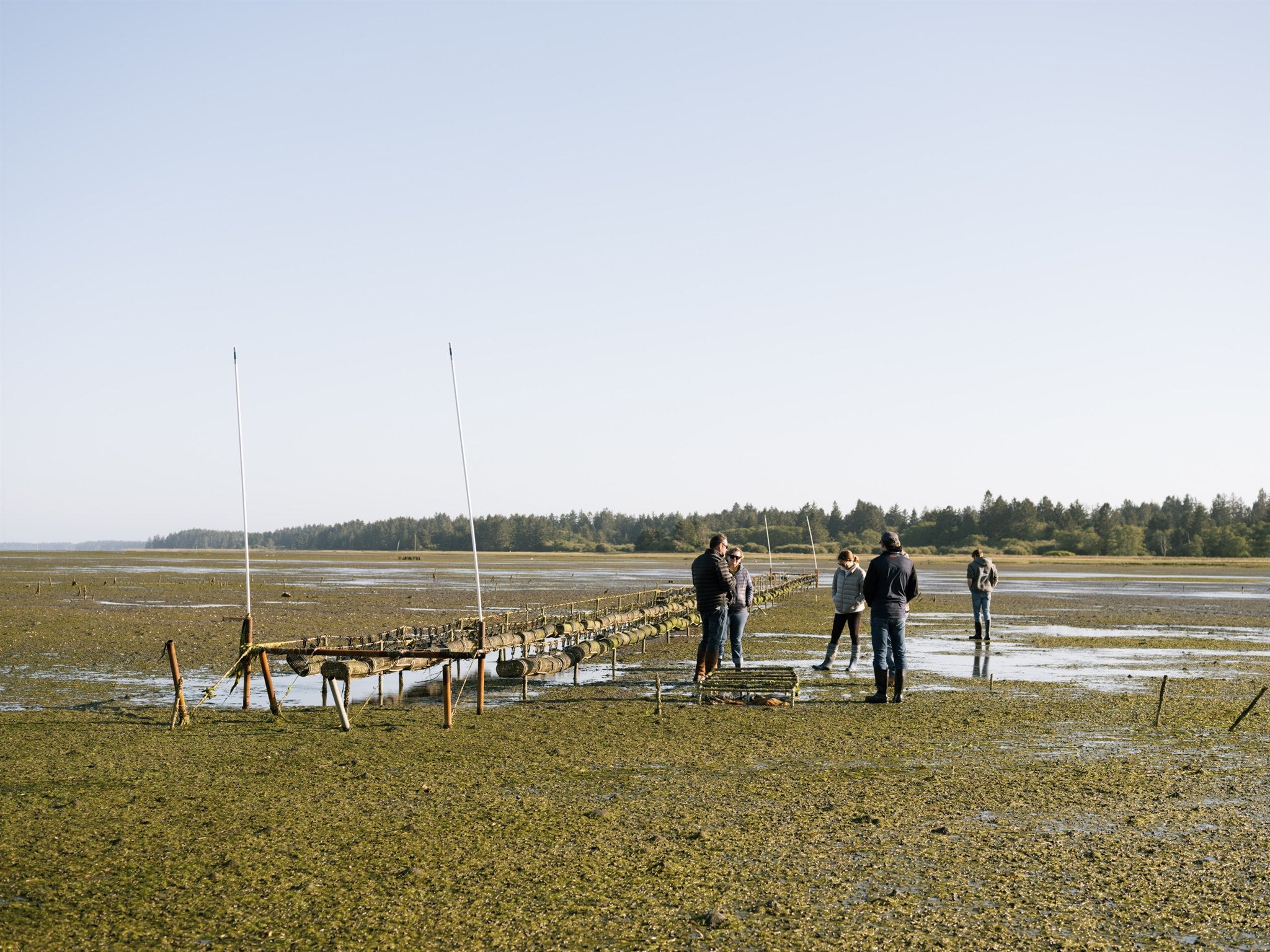 Visitors experiencing a working oyster farm on Willapa Bay