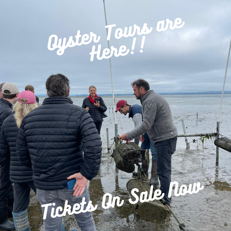 Discover Family Fun at Oysterville Sea Farms: The Ultimate Oyster Tour Experience