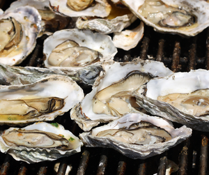 Grilled Oysters with Spicy Tarragon