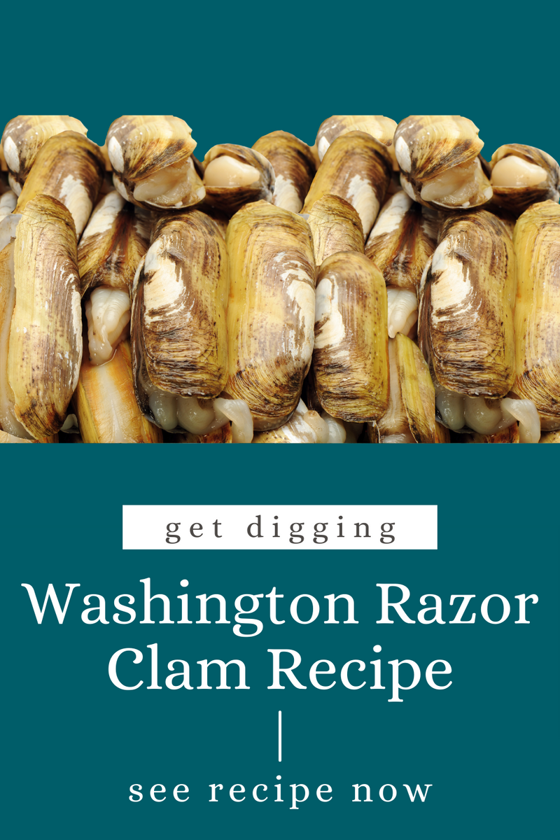 Fried Razor Clams with Willabay Breading – Willapa Wild dba Oysterville ...