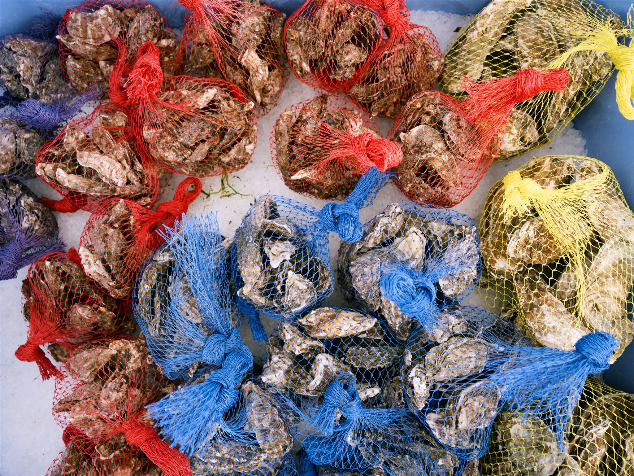 Fresh oysters and seafood at Oysterville Sea Farms