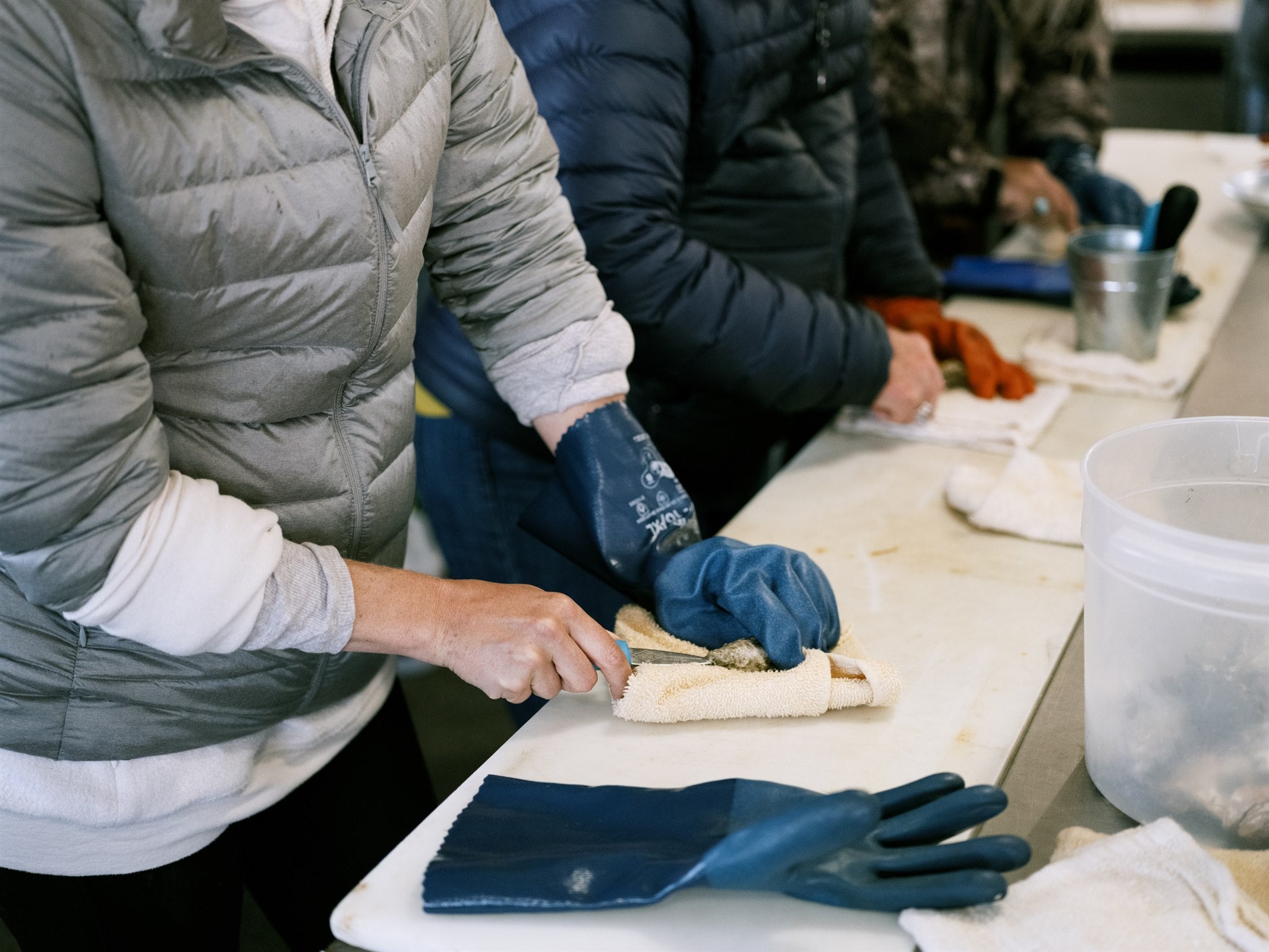 Visitors learning to shuck oysters during the farm tour