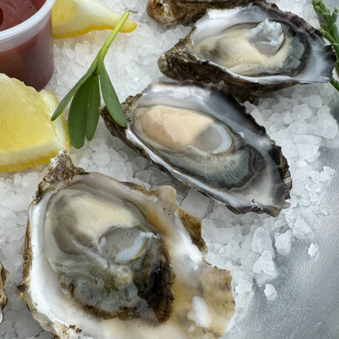 Willapa Wild extra-small fresh oysters for half-shell, harvested in Willapa Bay