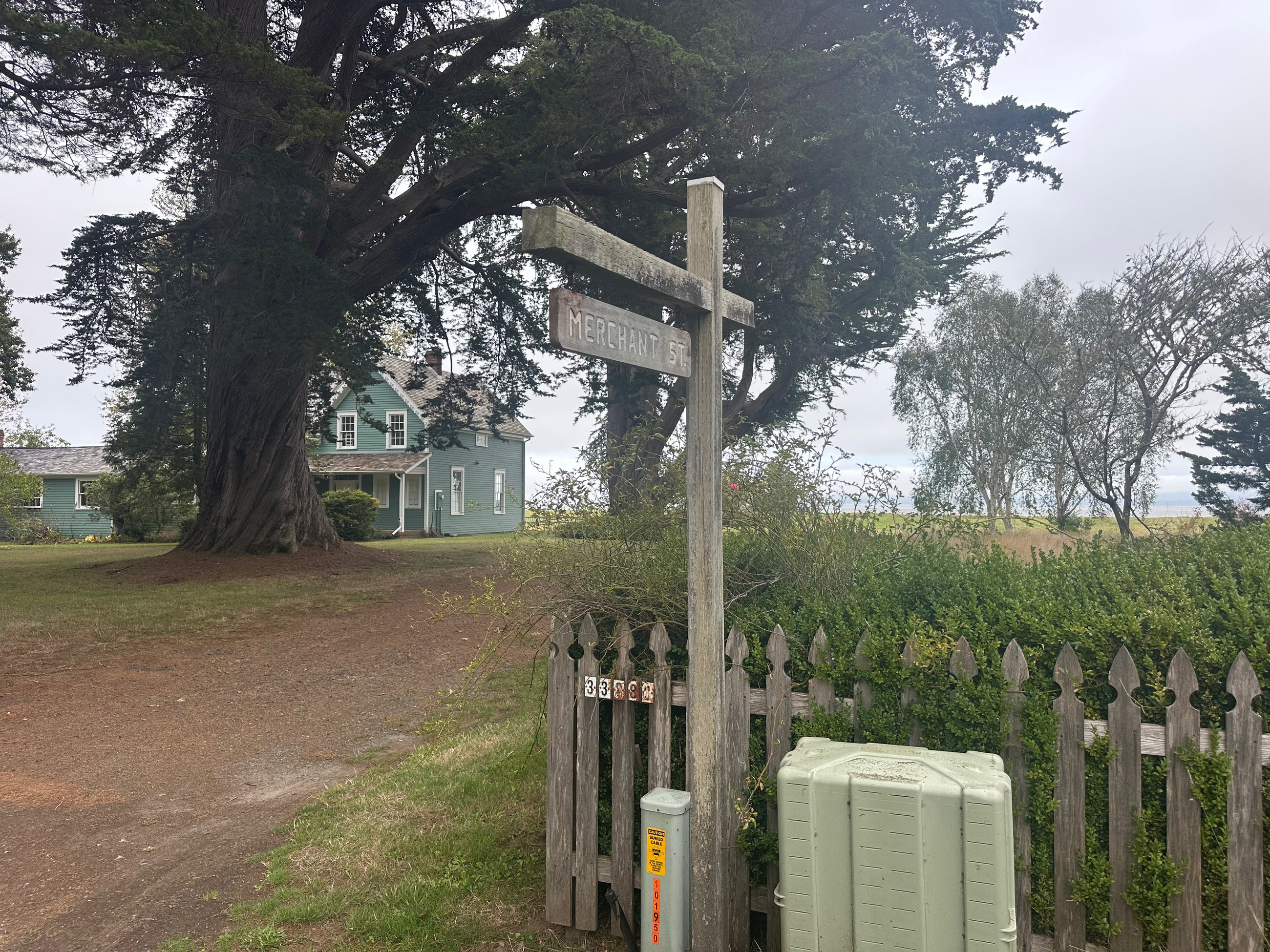 Historic homes and trees along Territory Road in Oysterville, Washington