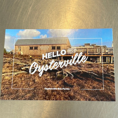Hello from Oysterville Postcard