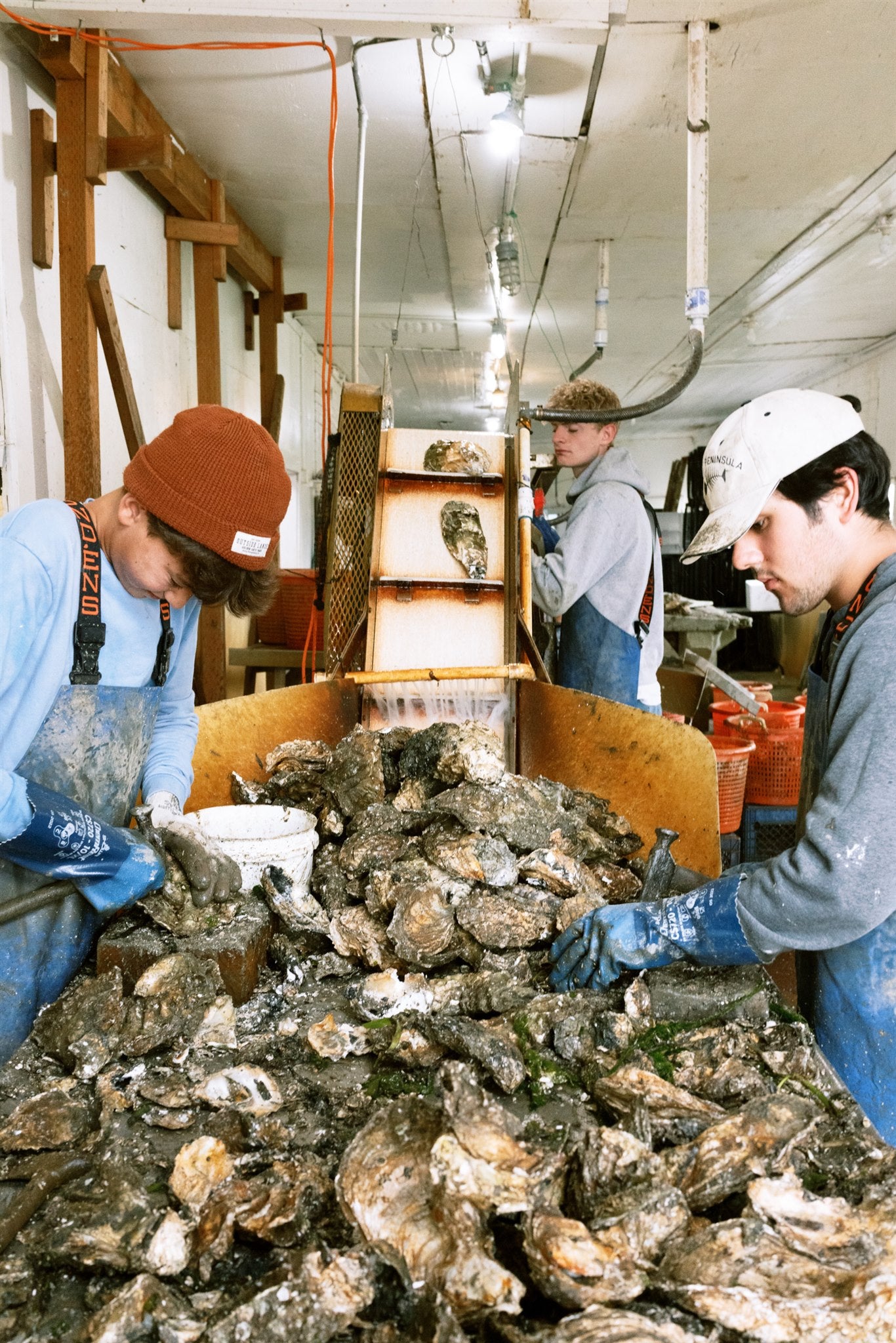 Oyster work on Willapa Bay